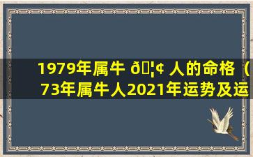 1979年属牛 🦢 人的命格（73年属牛人2021年运势及运程）